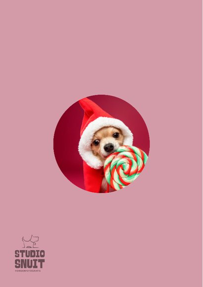 Grappige kerstkaart van hond met kerstmuts en lolly 2