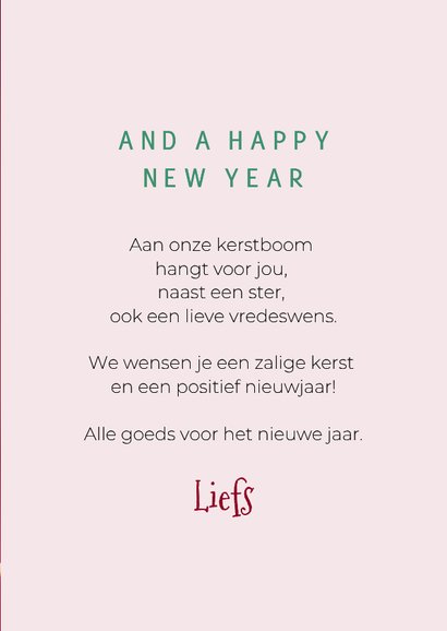 Grappige kerstkaart van hond met kerstmuts en lolly 3