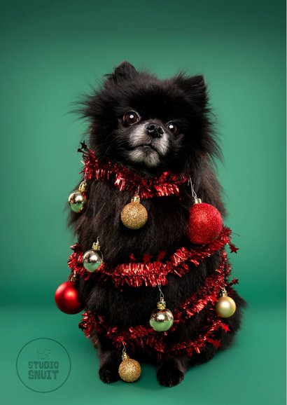 Grappige kerstkaart van hondje als kerstboom met ballen 2
