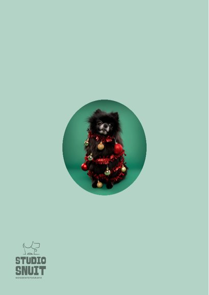 Grappige kerstkaart van hondje als kerstboom met ballen 2