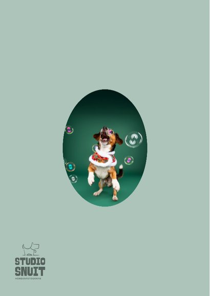 Grappige kerstkaart van hondje met jingle bellenblaas 2