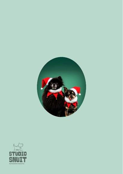 Grappige kerstkaart van hondjes met kerstmuts op 2