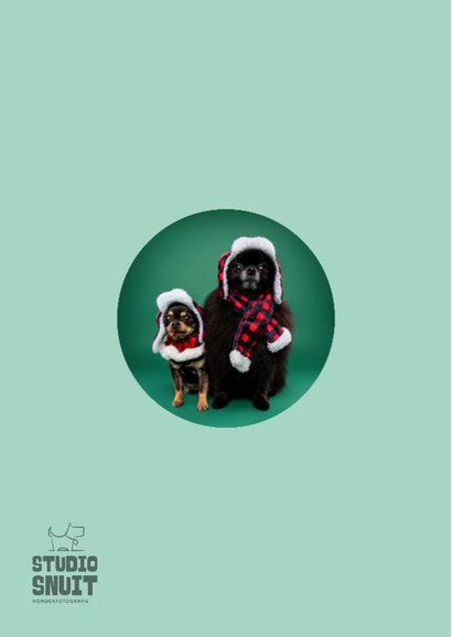 Grappige kerstkaart van hondjes met warme kerstkleding 2