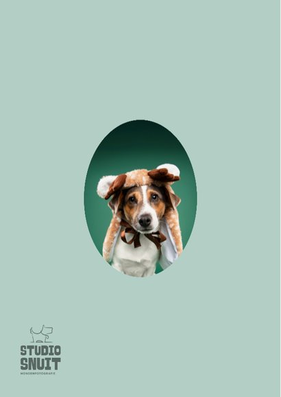 Grappige kerstkaart van jack russel met rendierpakje 2