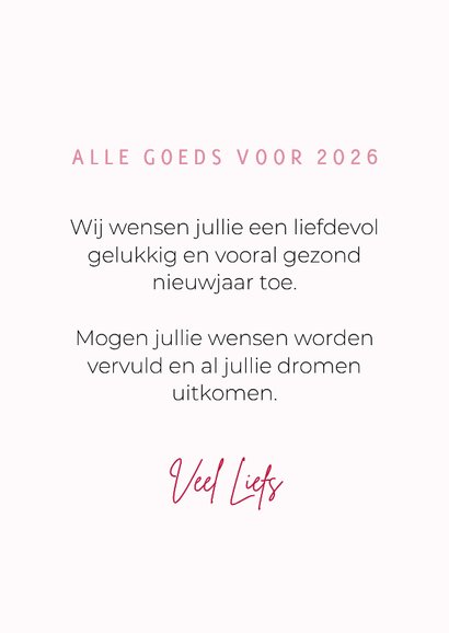 Grappige kerstkaart van pomsky met kerstjurkje aan 3