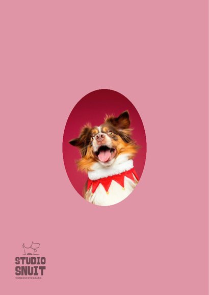 Grappige kerstkaart van vrolijk springende hond 2