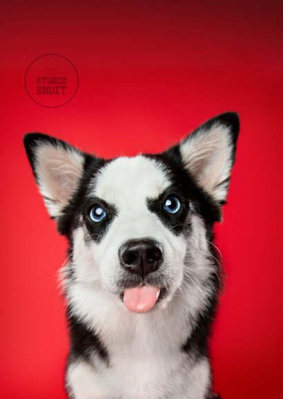 Grappige liefdeskaart hond met uitgestoken tongetje.  2