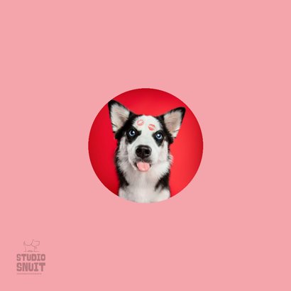 Grappige liefdeskaart van hond met tong en kusjes op vacht 2