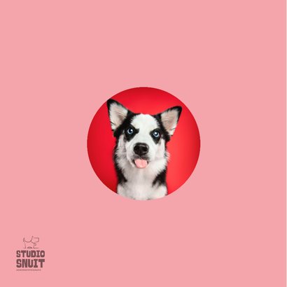 Grappige liefdeskaart van hond met uitgestoken tongetje 2