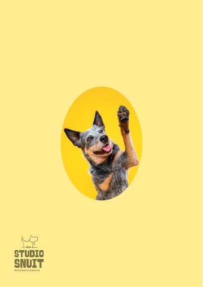 Grappige, lieve felicitatiekaart kaart van hond met high 5 2