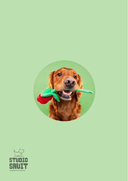 Grappige lieve hondenkaart van hond met roos in bek 2