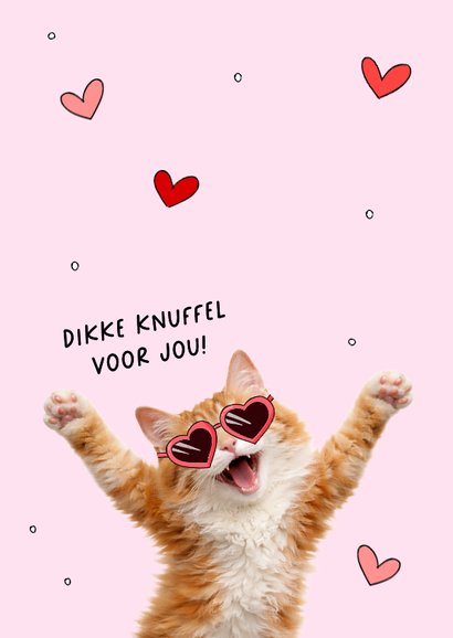 Grappige moederdagkaart met een vrolijke kat met hartjesbril 2