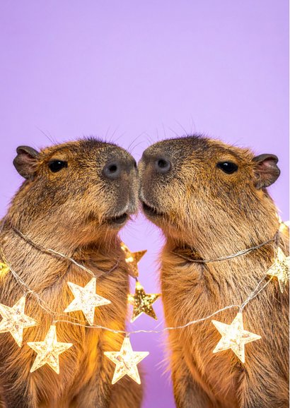 Grappige nieuwjaarskaart capibara lila capy new year 2