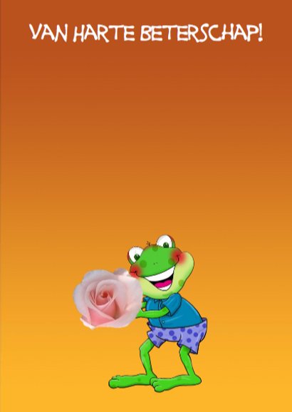 Grappige opkikker met bloemen in vaas 3