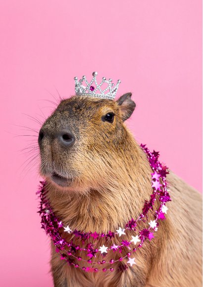 Grappige roze verjaardagskaartje met capibara met tiara 2