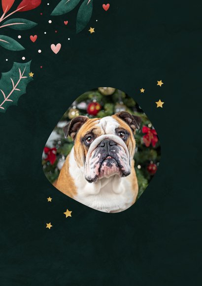 Grappige staande kerstkaart met eigen foto van bulldog  2