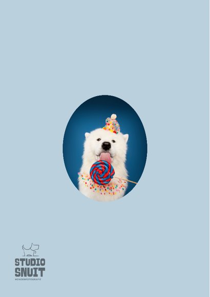 Grappige verjaardagskaart hond met lolly en feest kraag 2