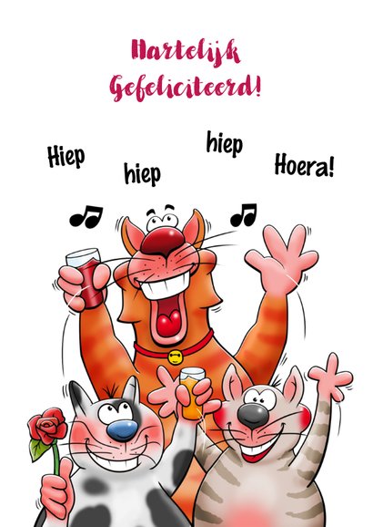 Grappige verjaardagskaart met een bos bloemen en katjes 3