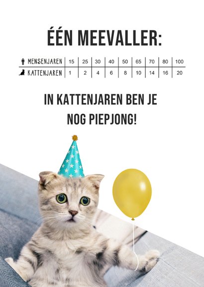 Grappige verjaardagskaart met foto van kat - huh, zo oud?! 2