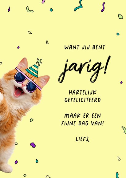 Grappige verjaardagskaart met kat die uit taart springt 3