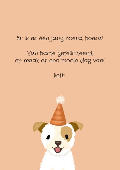 Grappige verjaardagskaart met lief hondje met feestmuts 3