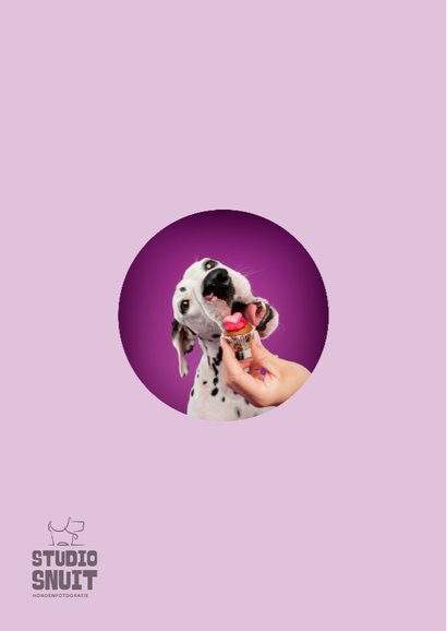 Grappige verjaardagskaart van dalmatiër met cupcake 2