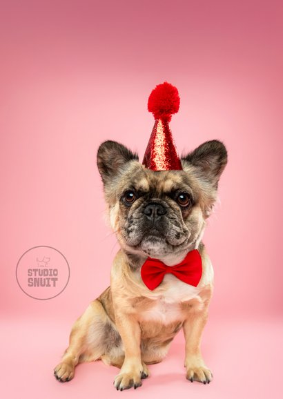 Grappige verjaardagskaart van franse bulldog met feestmuts 2