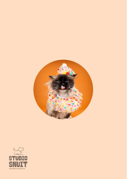 Grappige verjaardagskaart van grumpy kat met feestkleding 2