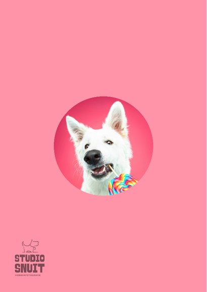 Grappige verjaardagskaart van herdershond met lolly 2