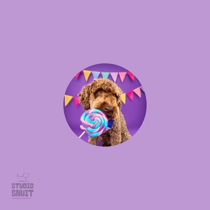 Grappige verjaardagskaart van hond met lolly en slingers 2