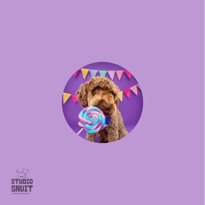 Grappige verjaardagskaart van hond met lolly en slingers 2