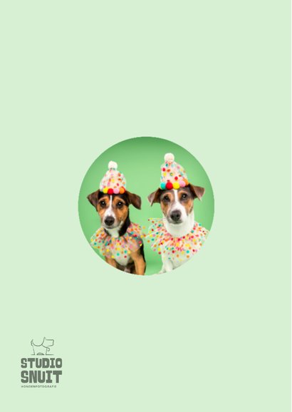 Grappige verjaardagskaart van hondjes met feestkleding 2