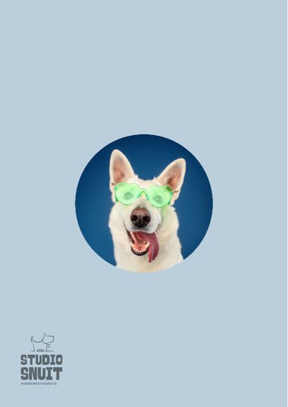 Grappige vrolijke vakantiekaart van hond met zonnebril 2