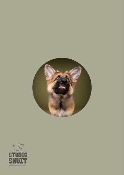 Grappige wenskaar van hond met tong, kus door de brievenbus 2