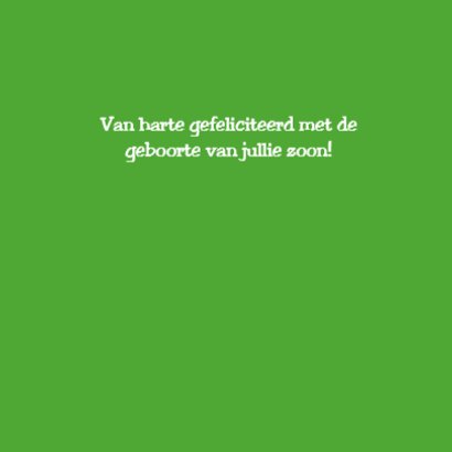Groen draakje 3