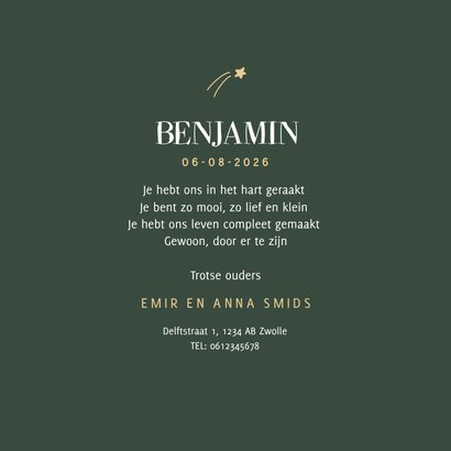 Groen geboortekaartje met vredesduif en sterretjes 3