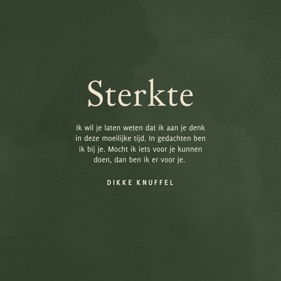 Groene stijlvolle waterverf sterktekaart 3
