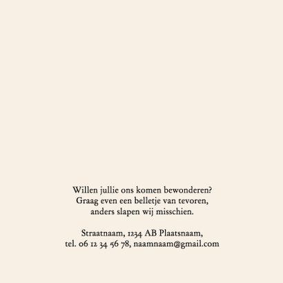 Hallo, hier zijn wij-isf 2