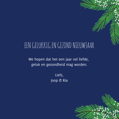 Happy 2023 met deze gezellige sneeuwpoppen 3