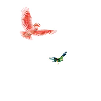Happy Birdday! kleurrijke vogel felicitatiekaart 2