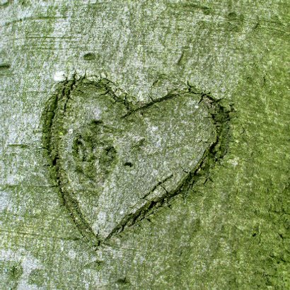 Hart in boom - 25 jaar getrouwd - OT 2