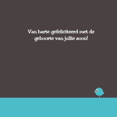 Hartjes tak, jongetje 3