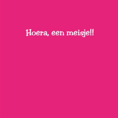 Hartjesballonnen met vogeltjes 3
