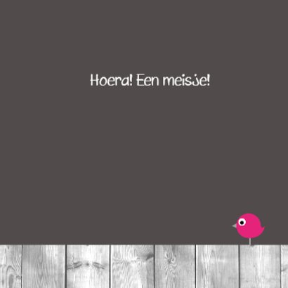 Hartjesboom roze 3