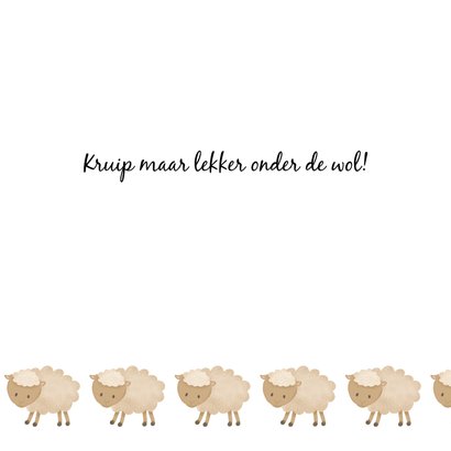 Heel veel beterschaapjes 3
