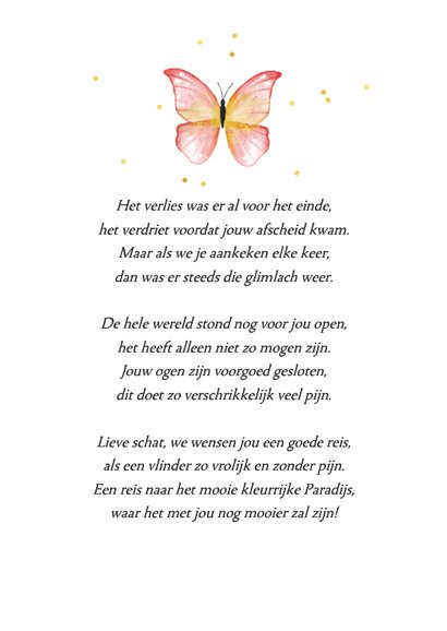 Herdenkingskaartje bidprent rouwkaart vlinders kind foto 2