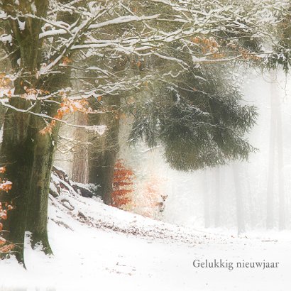 Hertjes in de sneeuw 2