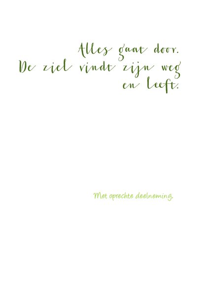 Het regent zonnestralen 3