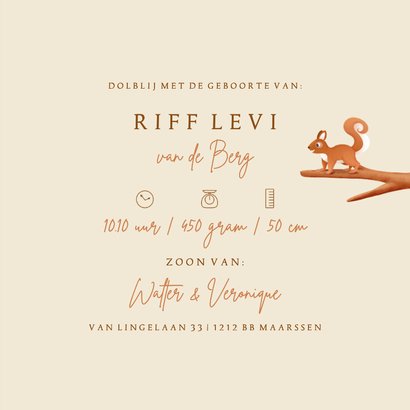 Hip geboortekaartje bosdieren illustratie vosje en eekhoorn 3