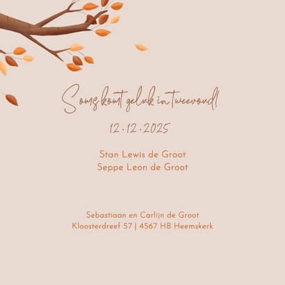 Hip geboortekaartje bosdieren illustratie vosjes tweeling 2